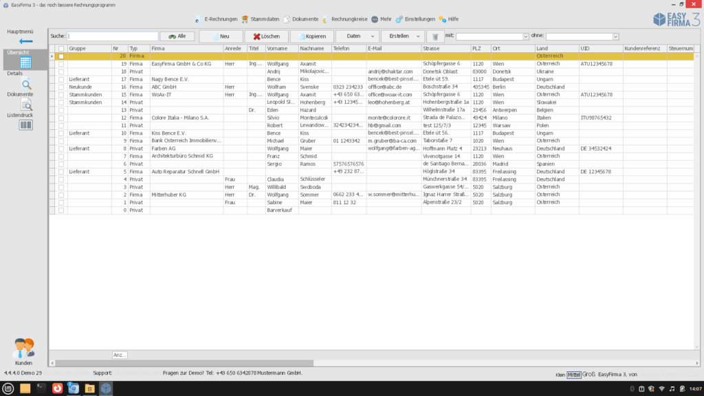 ef03-1024x576 DFK Consult - EN